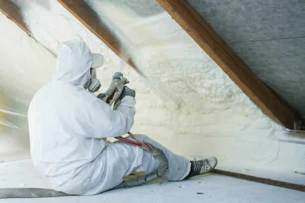 Eco-Friendly or Green Insulation Solutions in South Haven, MI